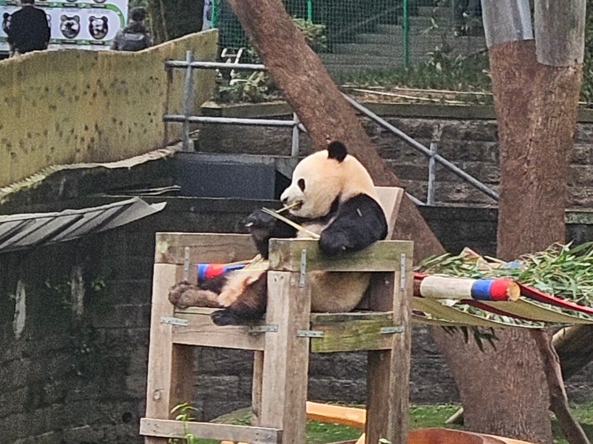 Travels in China:&nbsp;Chongqing