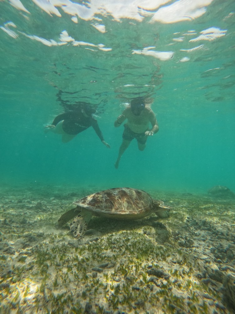 Two snorkelers swimming underwater near a sea turtle in a clear turquoise ocean.