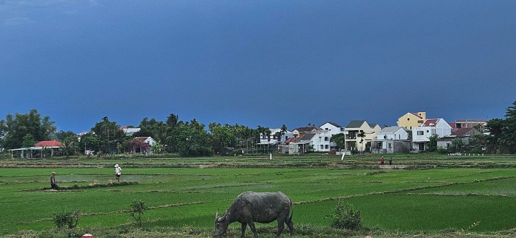 Travels in Vietnam: Return to Hoi&nbsp;An