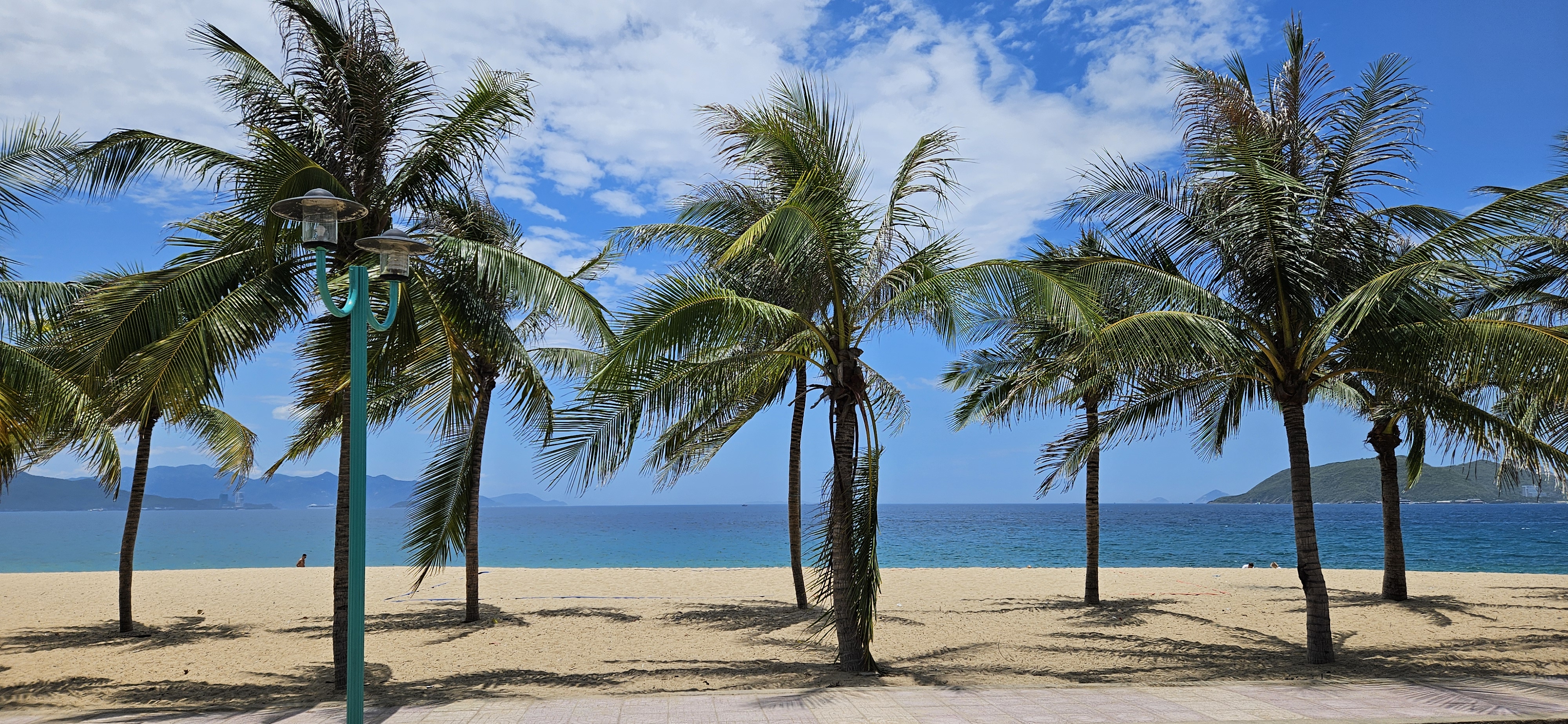A scenic beach view featuring tall palm trees swaying in the breeze, with a clear blue sky and calm turquoise waters in the background.